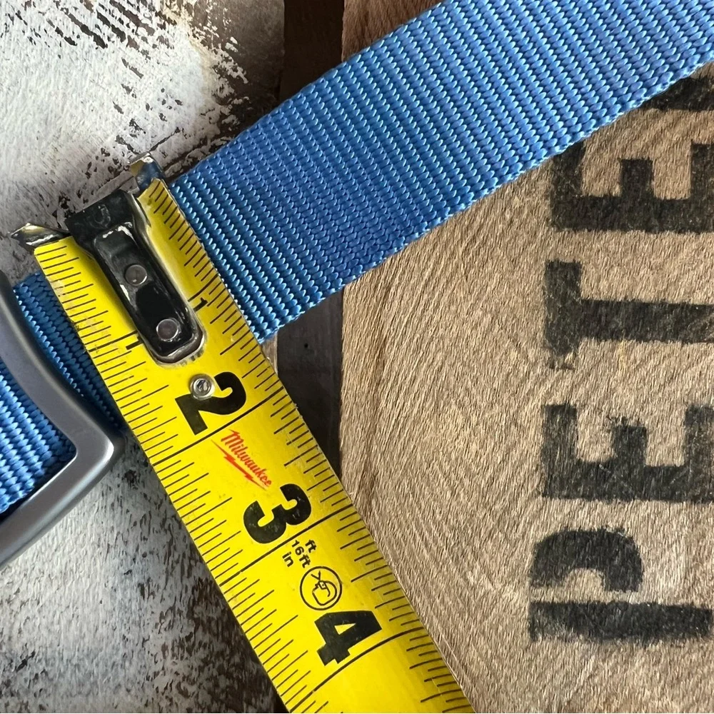 Patagonia Blue Webbing Hiking Belt with Multicolor Logo